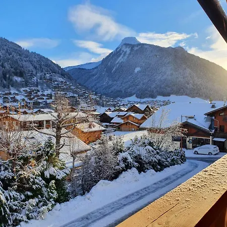 Chalet Delphinette - Privatif *